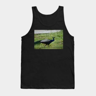 Peacock Tank Top